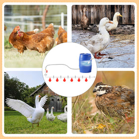 LEIFEOSH poultry-waterer setup in coop showcases flexible poultry compatibility