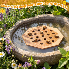 Leinuosen cork bee bath promotes non-slip sipping for bees and butterflies.