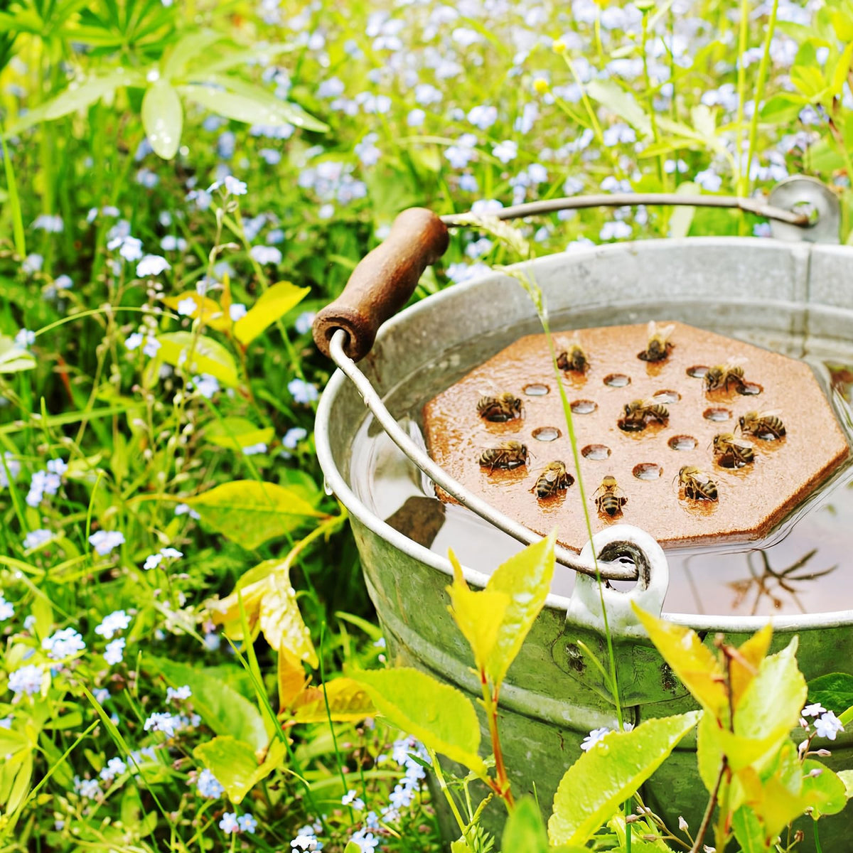 Leinuosen bee waterers suit patios, yards, and ponds for ecosystem-friendly decoration.