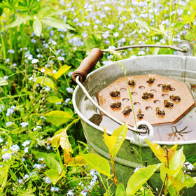 Leinuosen bee waterers suit patios, yards, and ponds for ecosystem-friendly decoration.