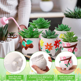 Leitee DIY succulent planter kit ideal for crafts and gifting