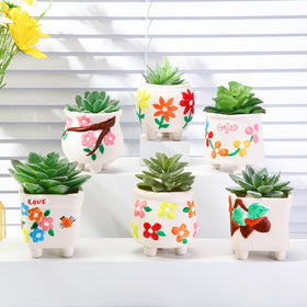 Leitee gift-ready pots for birthdays and seasonal celebrations