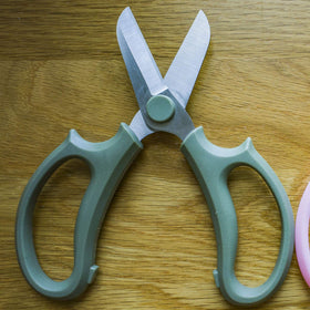 Leize Flower Scissors grey-green design adds style to gardening.