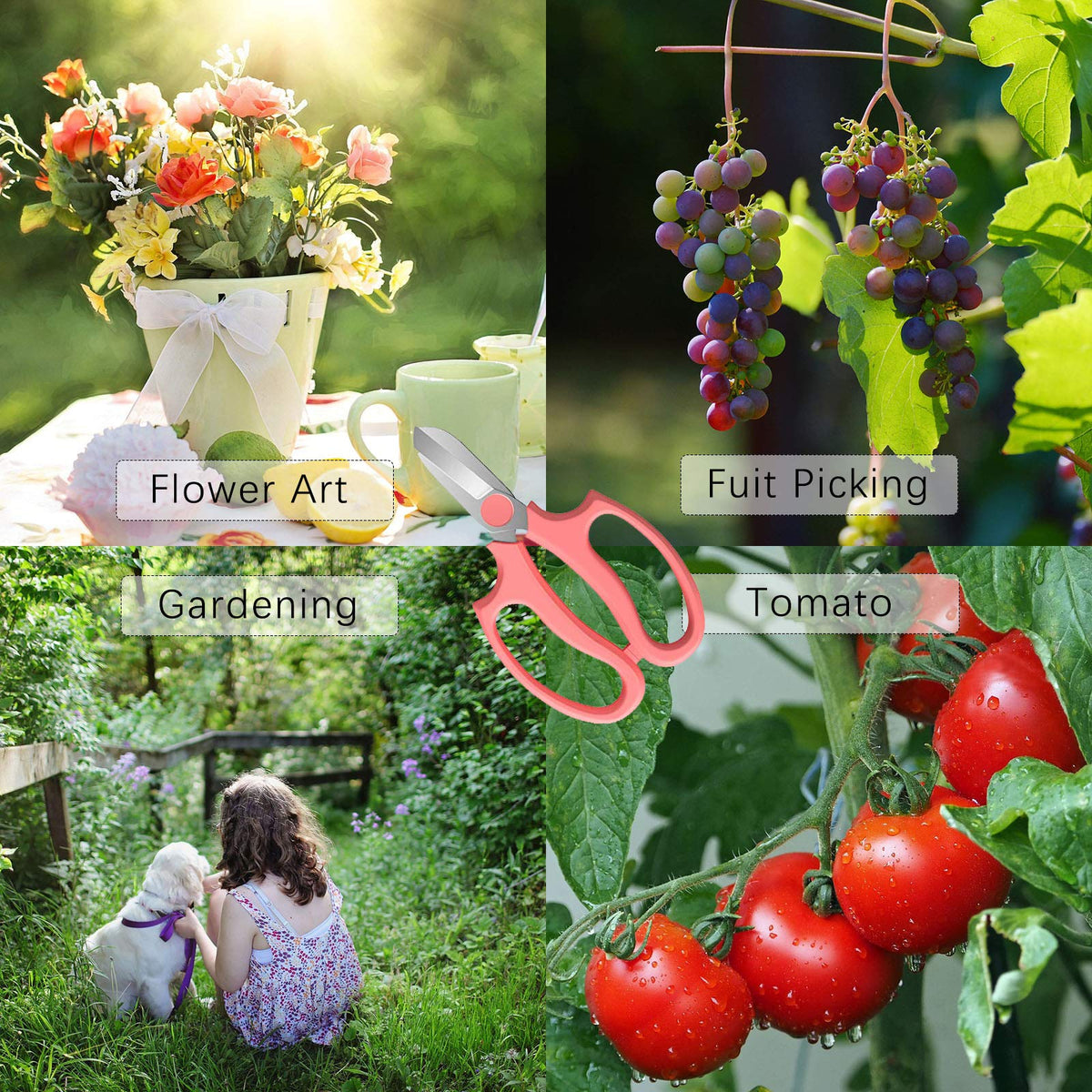 Leize premium flower scissors in green slender finish ideal for pruning flowers and small stems.