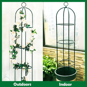 Vertical support ideal for climbing vines, roses, and flowering plants.