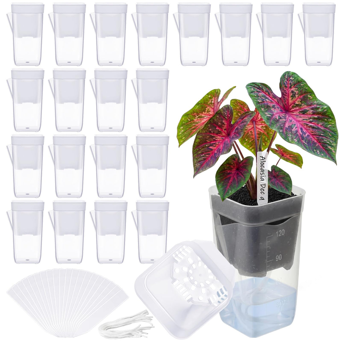 LemonRoad self-watering pot inner view shows clear moisture monitoring for roots