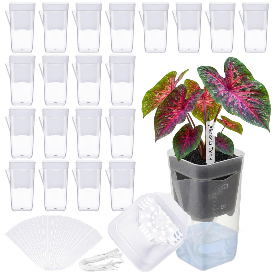 LemonRoad self-watering pot inner view shows clear moisture monitoring for roots