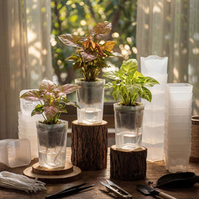 LemonRoad outer pot view displays water level at a glance for easy care