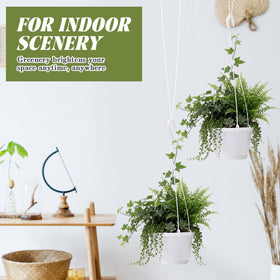 Durable LemonRoad white plastic planters withstand outdoor use and daily handling