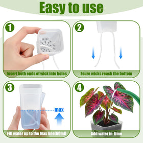 LemonRoad mini measuring cup included for precise watering and setup