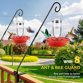 LemonRoad red base in outdoor feeding scene attracting hummingbirds