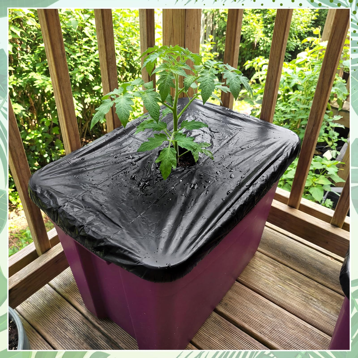 LemonRoad outdoor planter cover keeps containers neat and moisture-balanced.