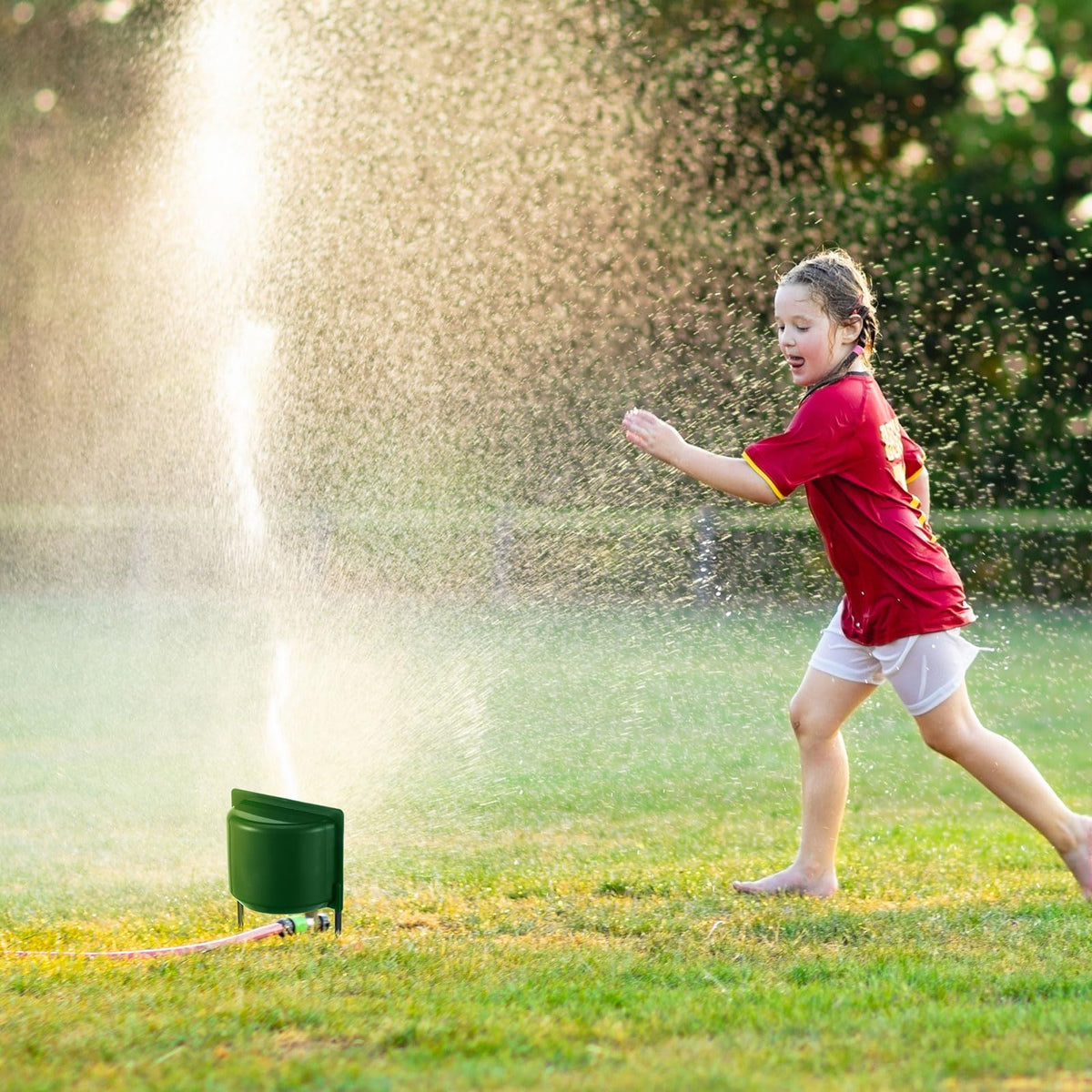 LemonRoad two-pack guard for multiple sprinkler zones keeps areas protected.