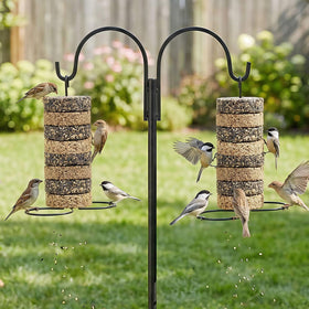LemonRoad versatile hanging options suit trees, garden hooks, and patios.