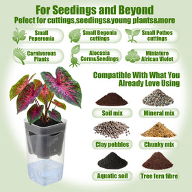 LemonRoad water level indicator helps prevent overwatering and underwatering