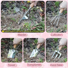 LeMotech trowel assists precise seedling transplantation