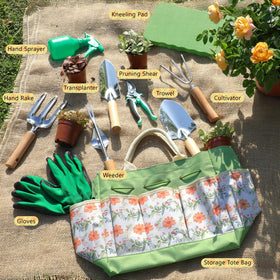 LeMotech transplanter and trowel for precise seedling placement