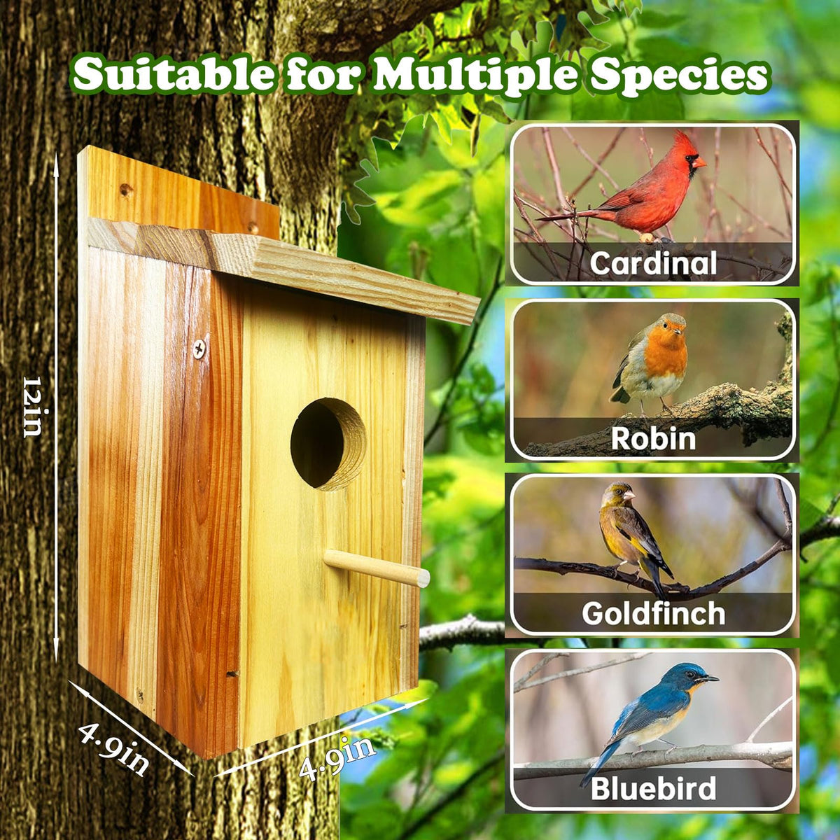 LENEDI Bird House circular entrance, airflow and predator deterrence.