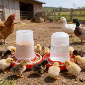 Leopacat watering bucket for clean, spill-free hydration of young birds.