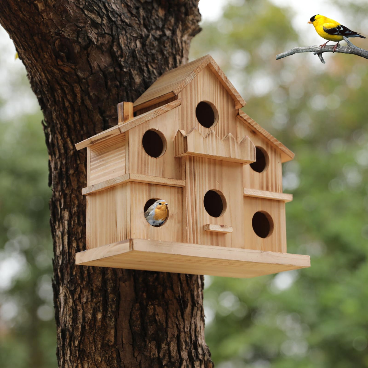 LEOSYY bluebirds and wrens-friendly design invites diverse visitors
