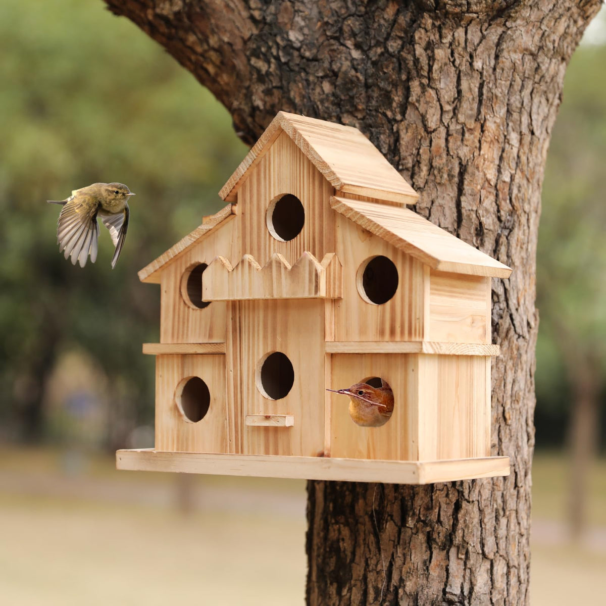 LEOSYY outdoor bird house with feeder attracts bluebirds and other garden birds