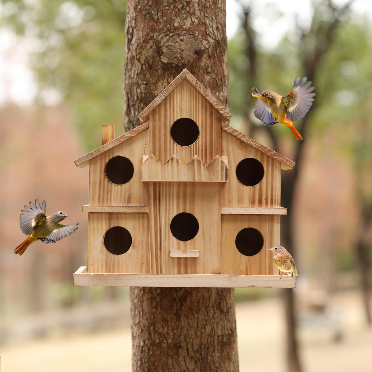 LEOSYY bird house allows easy window installation with secure hanging