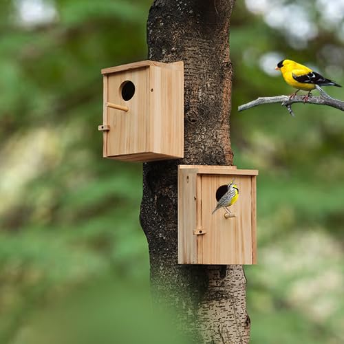 LEOSYY interior grooves serve as a gentle ladder for fledglings to exit