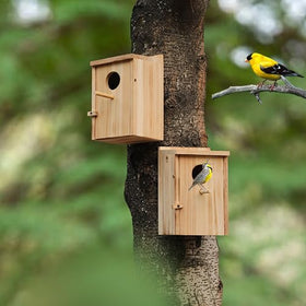 LEOSYY interior grooves serve as a gentle ladder for fledglings to exit