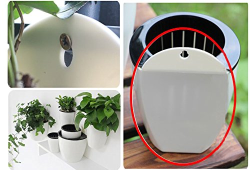 The 4.25 inch outer basin keeps a neat footprint in Leoyoubei Lazy Flower Pots.