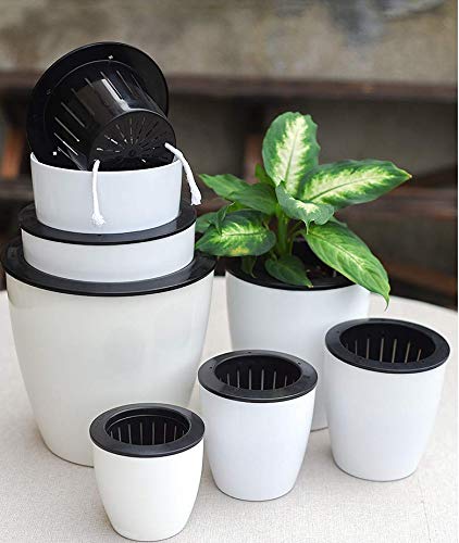 Double layer design supports air circulation and balanced watering in Leoyoubei pots.