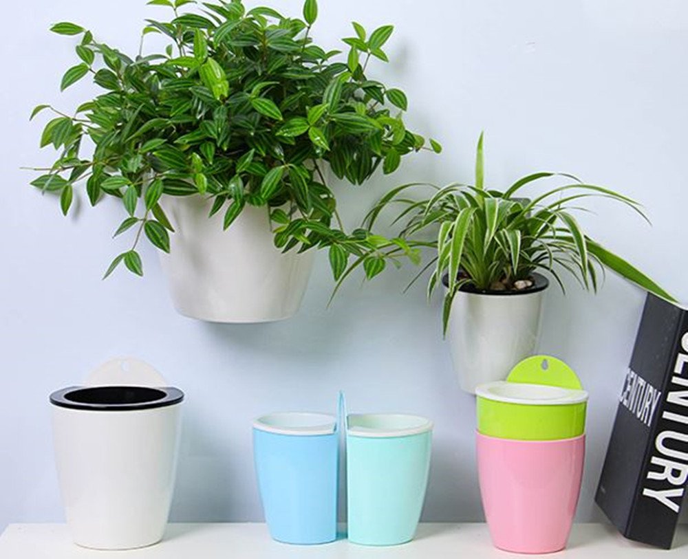 The 3 inch inner pot suits herbs and small succulents in Leoyoubei planters.