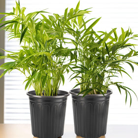 LepoHome indoor-outdoor plant container suitable for vegetables, flowers, and seedlings