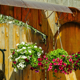 Leriton S hook helps organize garage and storage rails.