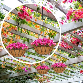 Leriton s-hooks on tree branch outdoors for sturdy plant or feeder display