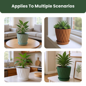LESOASIS 4-4-inch planter with tray for mini plants and succulents.