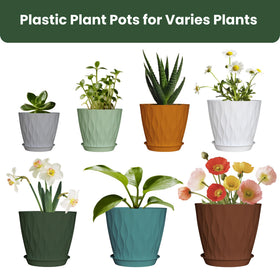 LESOASIS 5-inch planter with tray for desk greenery display.
