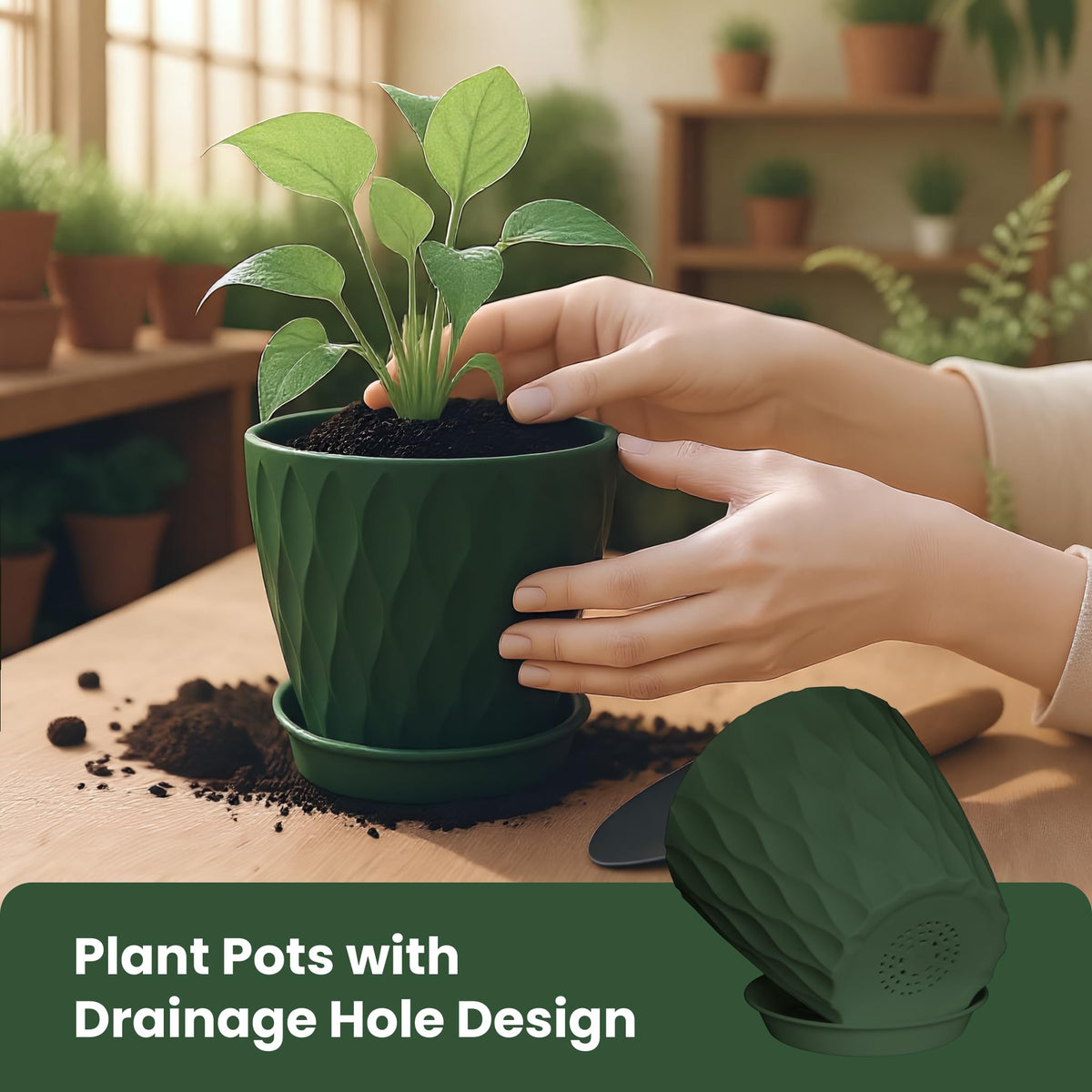 LESOASIS 6-inch planter with tray for small succulents and decor.