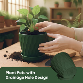 LESOASIS 6-inch planter with tray for small succulents and decor.