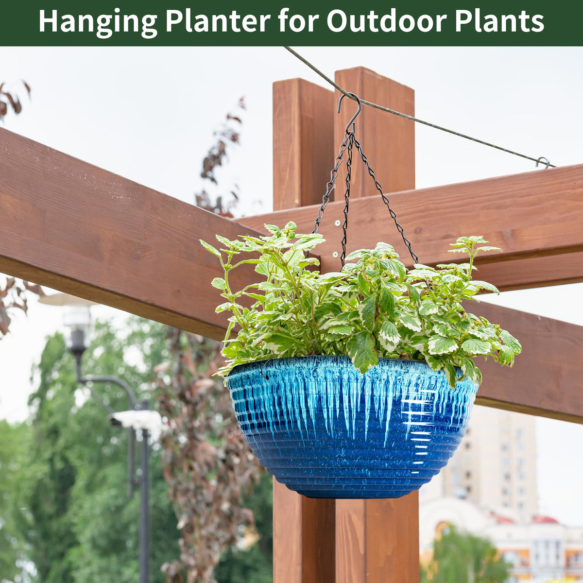 lesoasis gift-ready hanging planter ideal for plant lovers.