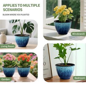LESOASIS gift-ready plant pot set for plant lovers