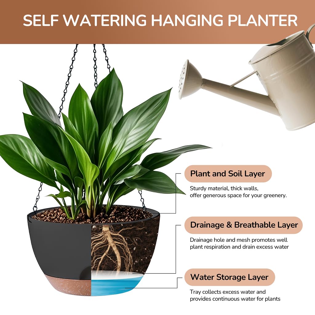 LESOASIS Hanging Planter with drainage holes supports healthy moisture balance.