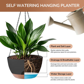 LESOASIS Hanging Planter with drainage holes supports healthy moisture balance.