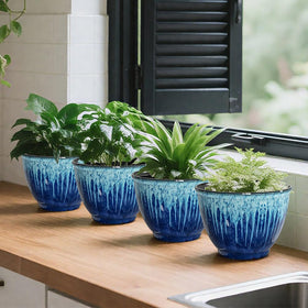 LESOASIS indoor herbs in blue glaze pot on counter