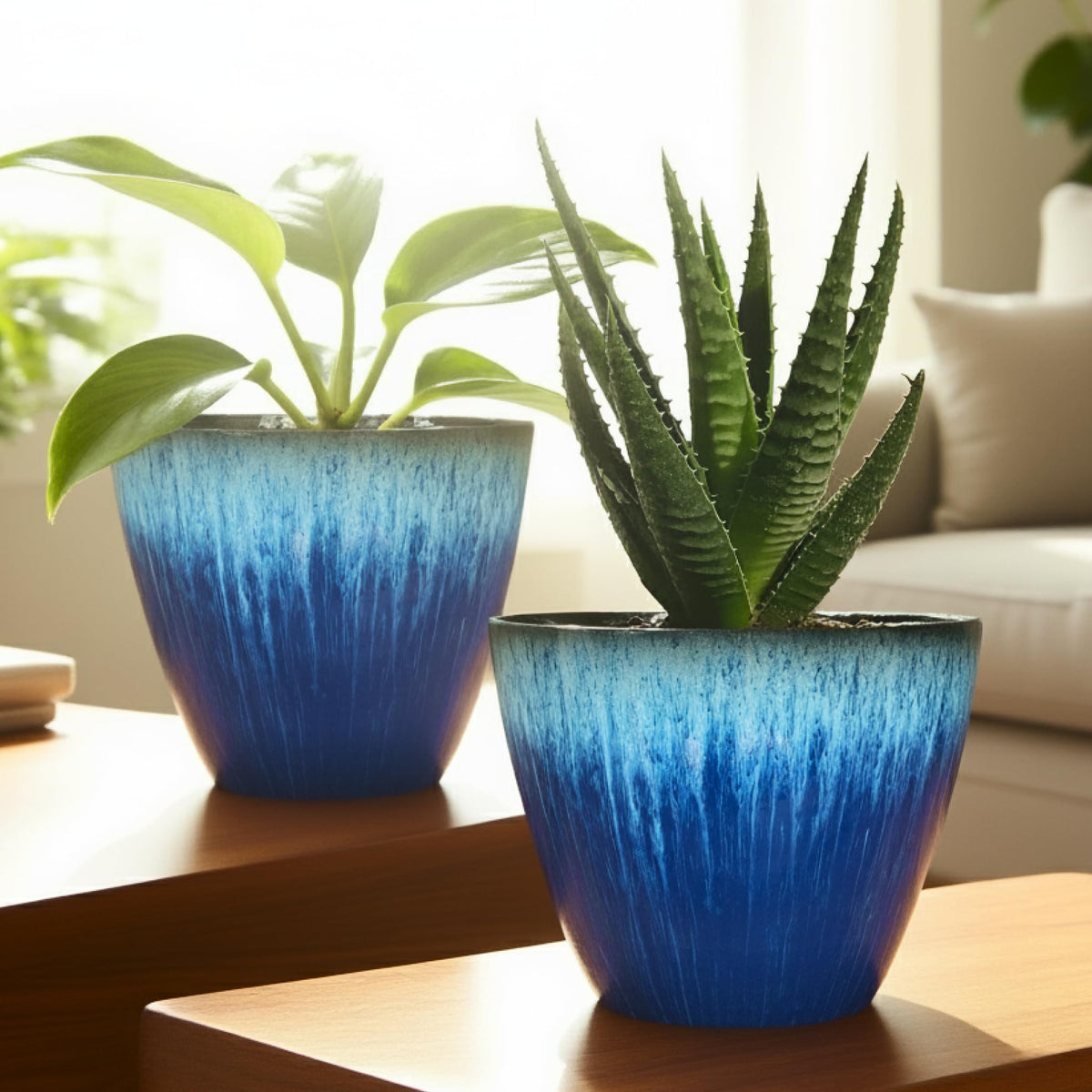 VERSATILE LESOASIS indoor-outdoor plant pot for succulents, herbs, or flowers.