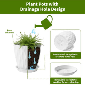 LESOASIS 8-inch terracotta-brown plant pot with saucer blends rustic spaces.