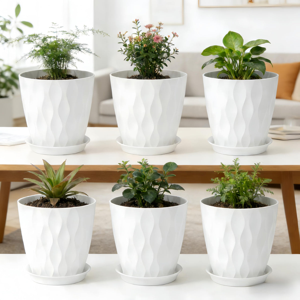 LESOASIS 8-inch white plant pot with saucer ideal for herbs and succulents.