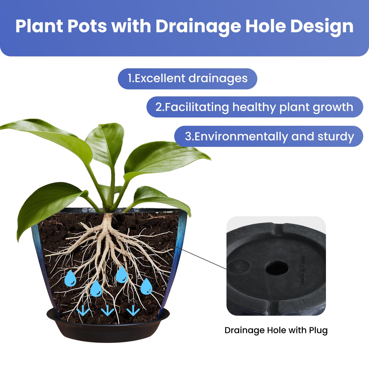 Removable drainage plug on LESOASIS pot enables controlled watering and prevents waterlogging.