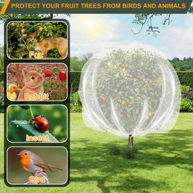 Letesult apple tree netting cover installed on a young tree to shield fruiting branches.