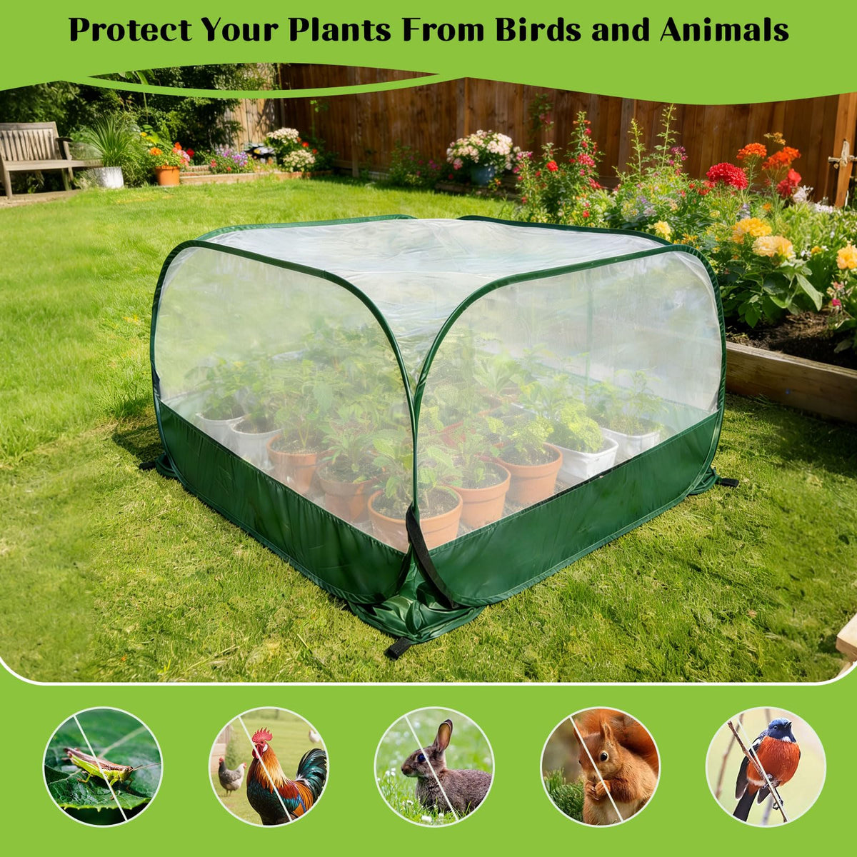 Letesult bird and insect protection net guards crops while preserving airflow