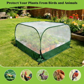 Letesult bird and insect protection net guards crops while preserving airflow